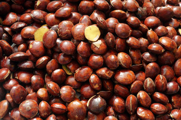 Close up fresh dogfruit or jengkol at Indonesian traditional market  