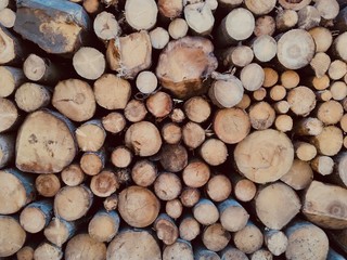 stack of firewood