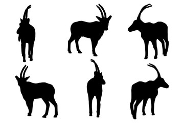 6 black and white set vector antelope, gazelle silhouette isolated on white background