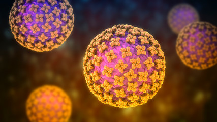 Orthohantavirus that causes hantavirus hemorrhagic fever with renal syndrome