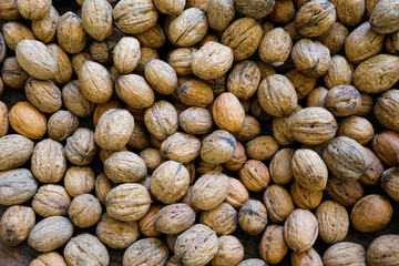 Noix fraîches étalées dans un plateau