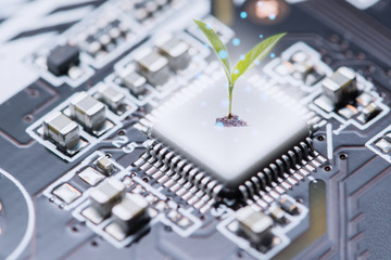 Technology to preserve trees, love the environment