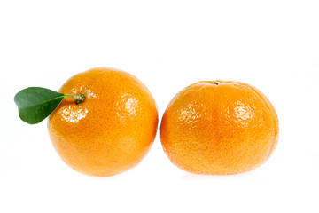 orang isolated on white