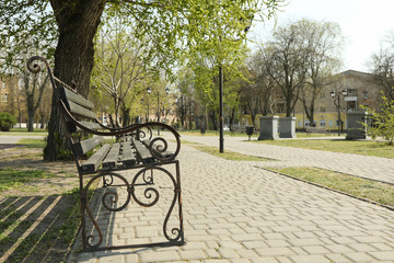 Naklejka premium Bench in the city park. Sunny spring day