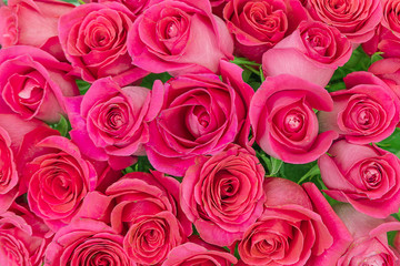 Bouquet of the beautiful beautiful red roses. Background. Closeup