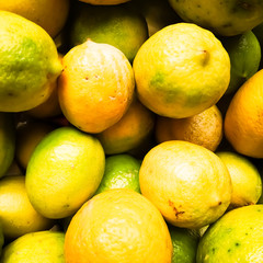 Lemon fruit color mix fresh green natural beautiful salty.