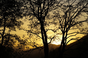 beautiful sunset with orange sky and tree and mountain silhouettes