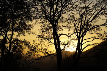 beautiful sunset with orange sky and tree and mountain silhouettes
