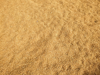 Dried wheat seeds arranged as background. Nepal