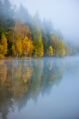 autumn landscape in the mountains with trees reflecting in the water at St. Ana's lake, Romania
