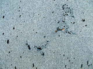 
The concrete wall of the building. Blurred defocused background for web design.