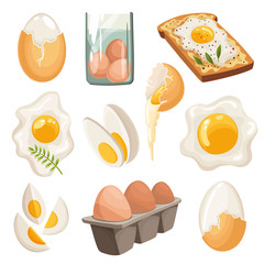 Cartoon eggs isolated on white background. Set of fried, boiled, cracked eggshell, sliced eggs and chicken eggs in box. Vector illustration. Collection eggs in various forms