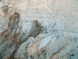 
The concrete wall of the building. Blurred defocused background for web design.
