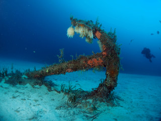 Scuba Diving Malta Gozo Comino