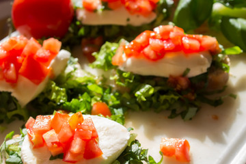 Sandwich with mozzarella cheese, basil and tomatoes. Natural lighting