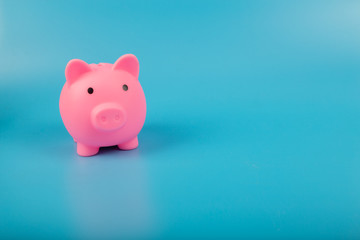 pink piggy bank on blue background