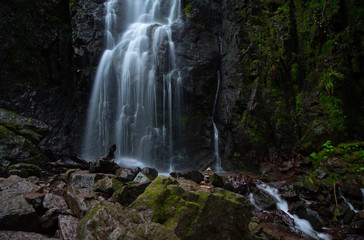 Fototapeta na wymiar Mystischer Wasserfall im Schwarzwald