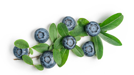 Ripe blueberry berries with green leaves on a white background