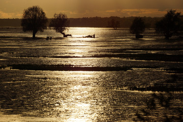 Liquid gold: sunset after stormy day