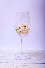 Glass full of cherry blossom flower or Sakura at spring on wooden table and white background. Copy space for text.