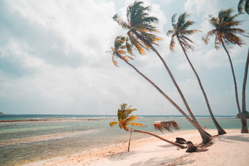 Palmy i plaża.