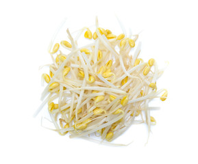 Bean Sprouts  isolated on White Background