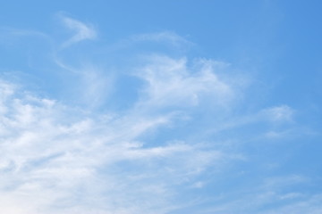 Obraz premium Group of white fluffy clouds and blue sky.