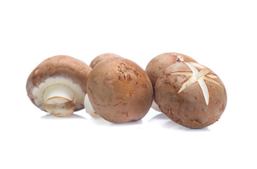 Fresh champignon mushrooms isolated on white