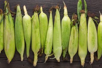 Corn cobs background. Many ears of corn on a wooden table