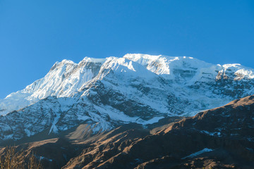 Obraz premium A close up view on snow caped Himalayan peak seen from Annapurna Circuit Trek, Nepal. Sharp and steep slopes of the mountain. Powder snow being blown by strong wind. First sunbeams reaching the peak