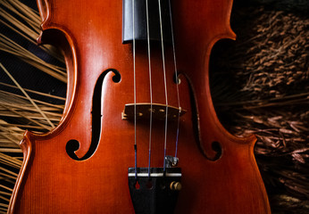 Closeup front side of violin,show design and part of acoustic instrument,vintage and art tone,blurry light around