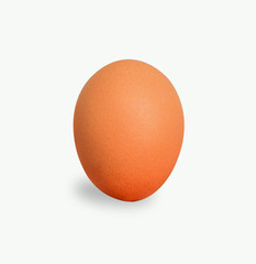 A single egg on a isolated white background