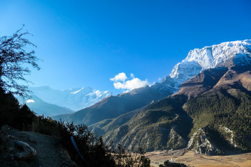 A view on Himalayan valley along Annapurna Circuit Trek, Nepal. There is a dense forest in front. High, snow caped mountains' peaks catching the sunbeams. Serenity and calmness. Barren slopes