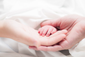Main de nouveau-né dans la main de ses parents