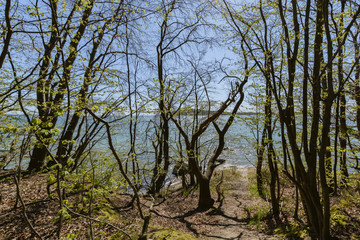 Rad- Wanderweg in der Goor, Lauterbach auf Rügen