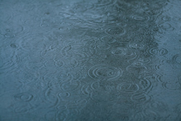 Raindrops and ripples in a puddle.
