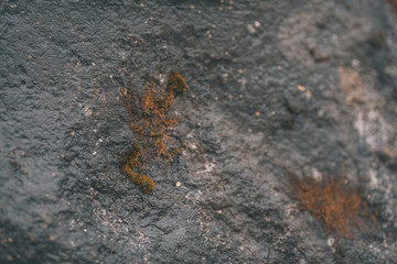 The texture of stone rock. Wet stone surface, top view