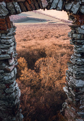 View from the window of old and anciet ruins (Ghymes Castle) on forest and valley. Vertical photo of scenic view on trees and meadow from above in spring time.