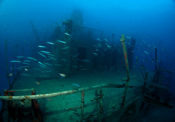 Scuba Diving Malta Gozo Comino