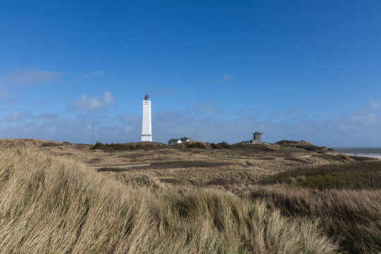 Denmark, Romo, Blavand, Grassy coastal landscape with lighthouse in background