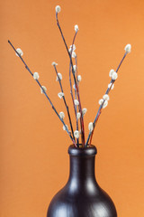 flowering pussy-willow twigs in ceramic bottle