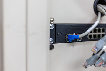 network cables connected in network switches hub
