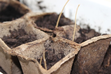 ground on bright background