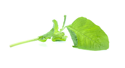 Obraz premium Spinach leaves close up isolated on white