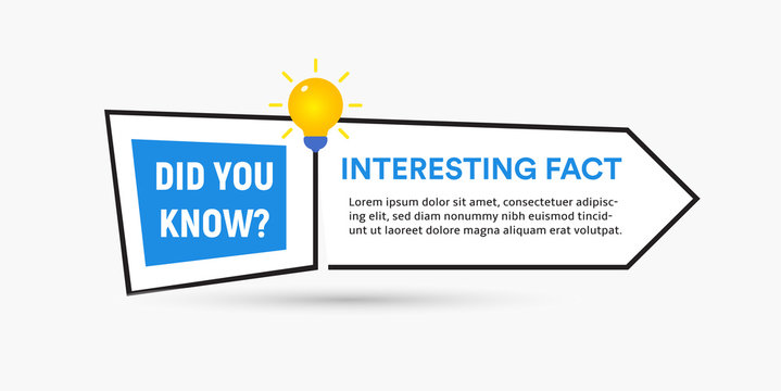 Web Button Template With Question And An Interesting Fact, Infographic Element With Light Bulb Icon And Text Inside, Vector Illustration