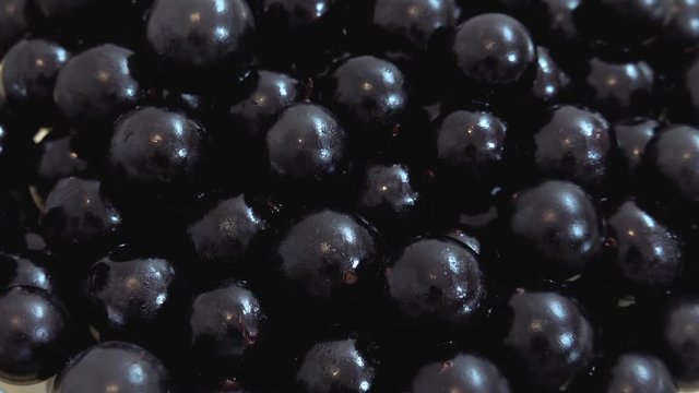 Zoom in on freshly picked and fresh jaboticaba or jaboticaba. Organic red Brazilian fruit rich in vitamins.
