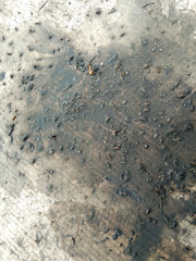 Dirty debris, oil stains and insects that leave stains on the paper crates, Oil stains on cardboard. Cheap oil leak absorbing, abstract background.