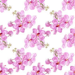 Fototapeta premium Watercolor of pink vanda orchid isolated on white background. Seamless pattern with colorful tropical flowers. Stock illustration for your design.