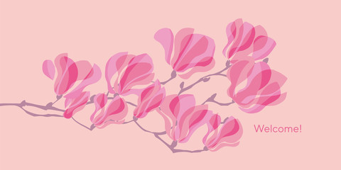 Fototapeta na wymiar Rosy abstract decorative magnolia flower blossom