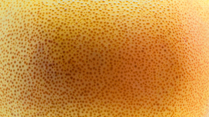 Ripe grapefruit, close up background